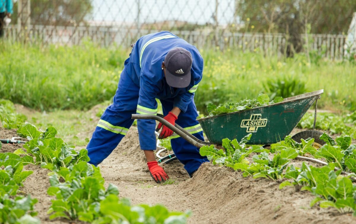 Agriculture